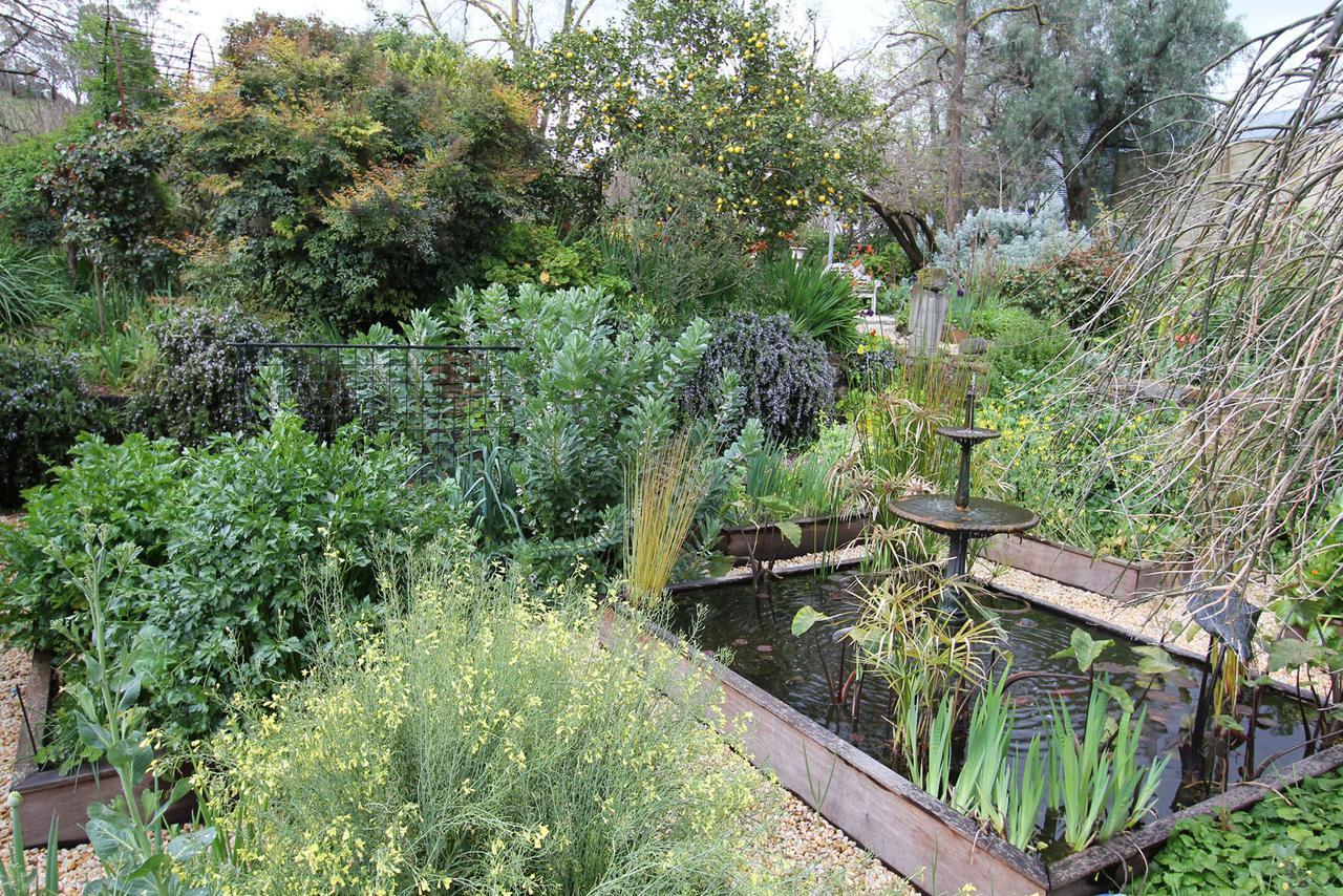 לינה וארוחת בוקר מאלדון Palm House מראה חיצוני תמונה